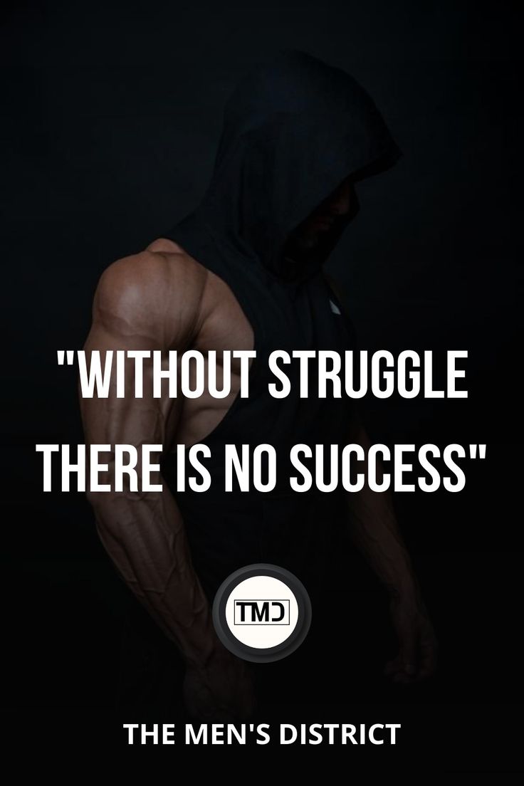 No Struggle No Success Quotes