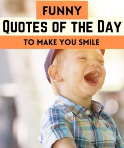 tip-of-the-day-funny-quotes